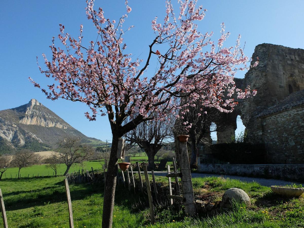 Auberge Du Prieure Saint-André-de-Rosans Zewnętrze zdjęcie