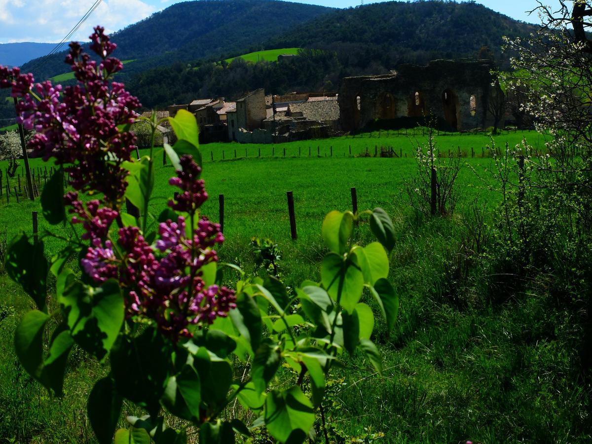 Auberge Du Prieure Saint-André-de-Rosans Zewnętrze zdjęcie